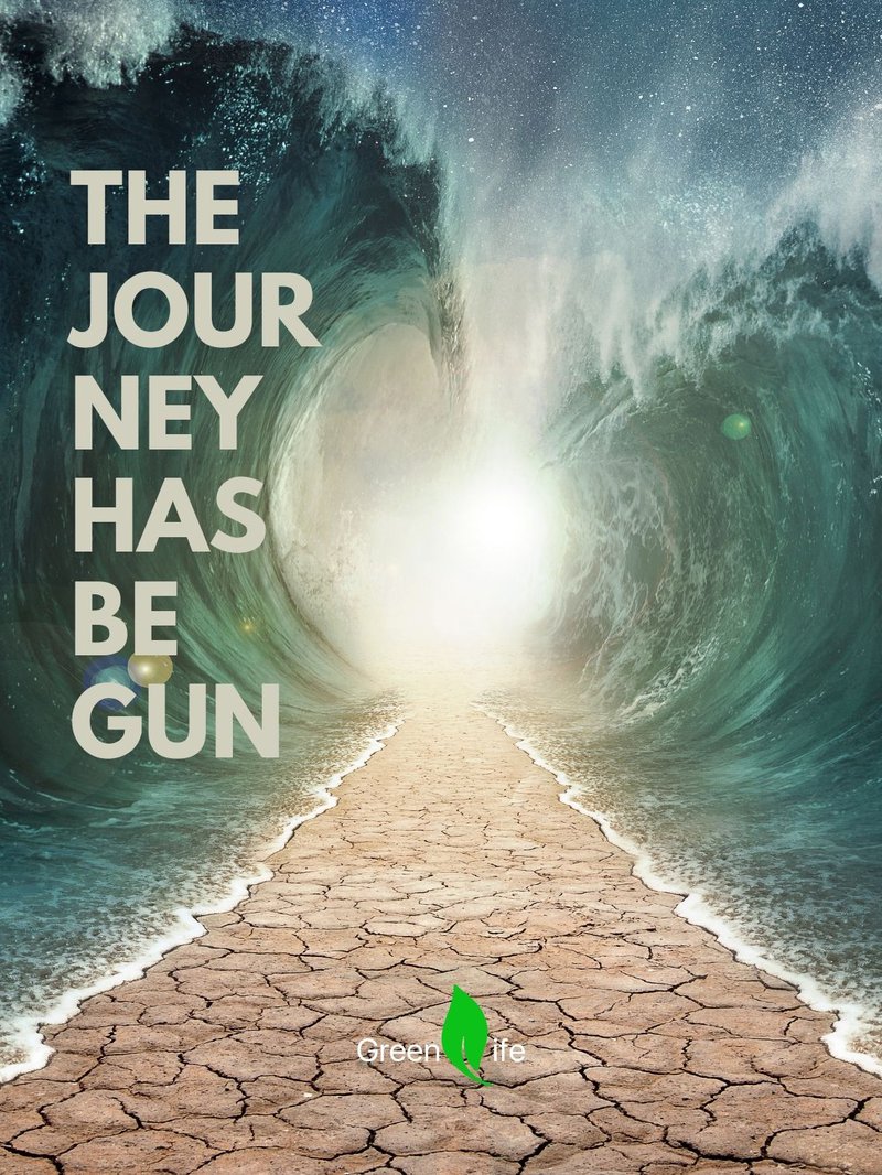 The journey has begun.jpg